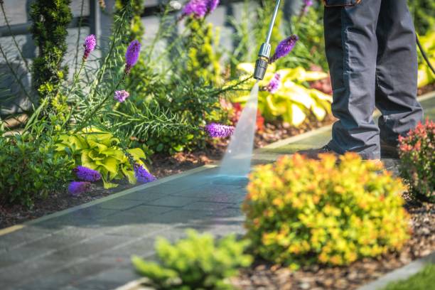 Best Winterizing Services  in Day Valley, CA